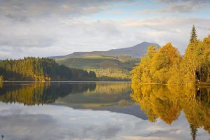 Du lịch Anh - Scotland [Lễ hội hoa Chelsea]